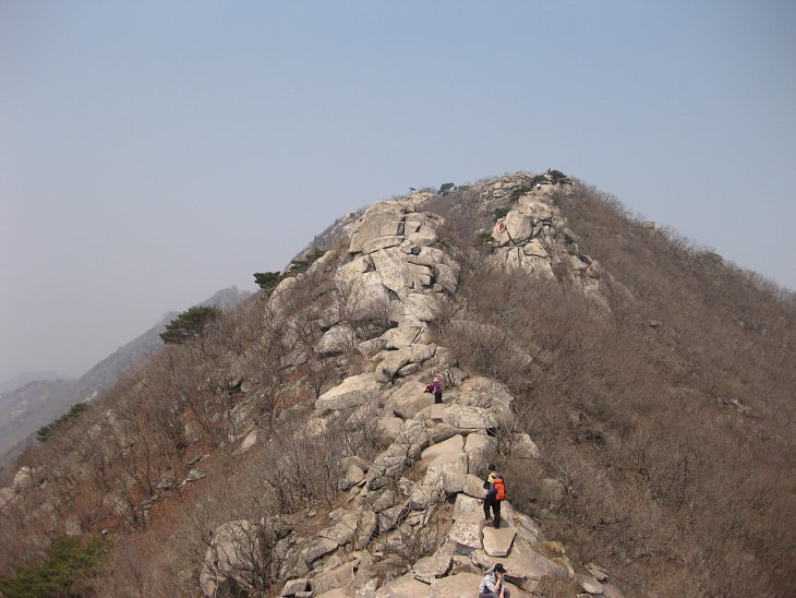 오케이몰, 1등 온라인쇼핑몰을 목표로
